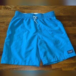 Abercrombie & Fitch Blue Swim Shorts